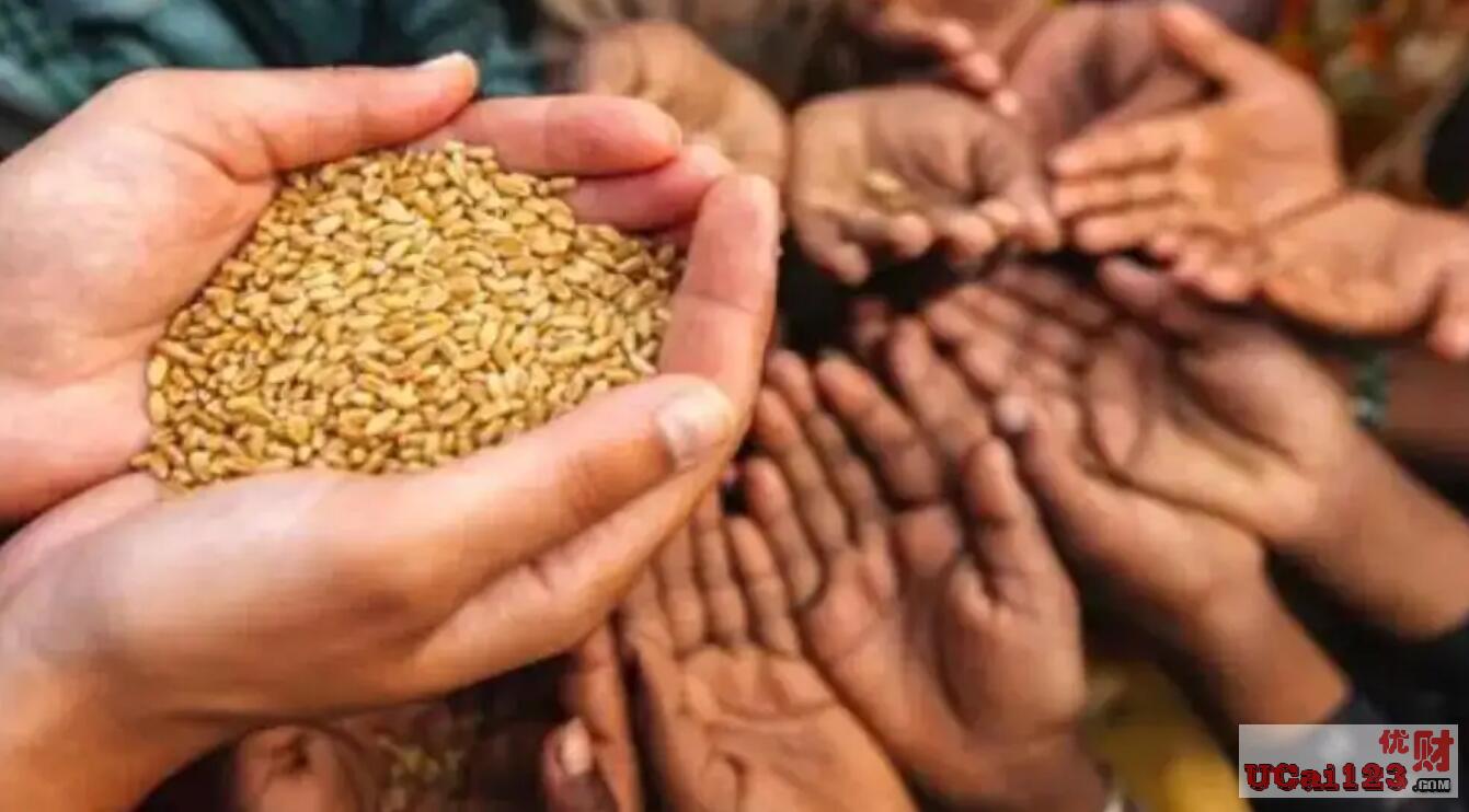 不久前的俄乌战争，现在的印度限制小麦出口，未来几年粮食危机将再次重演